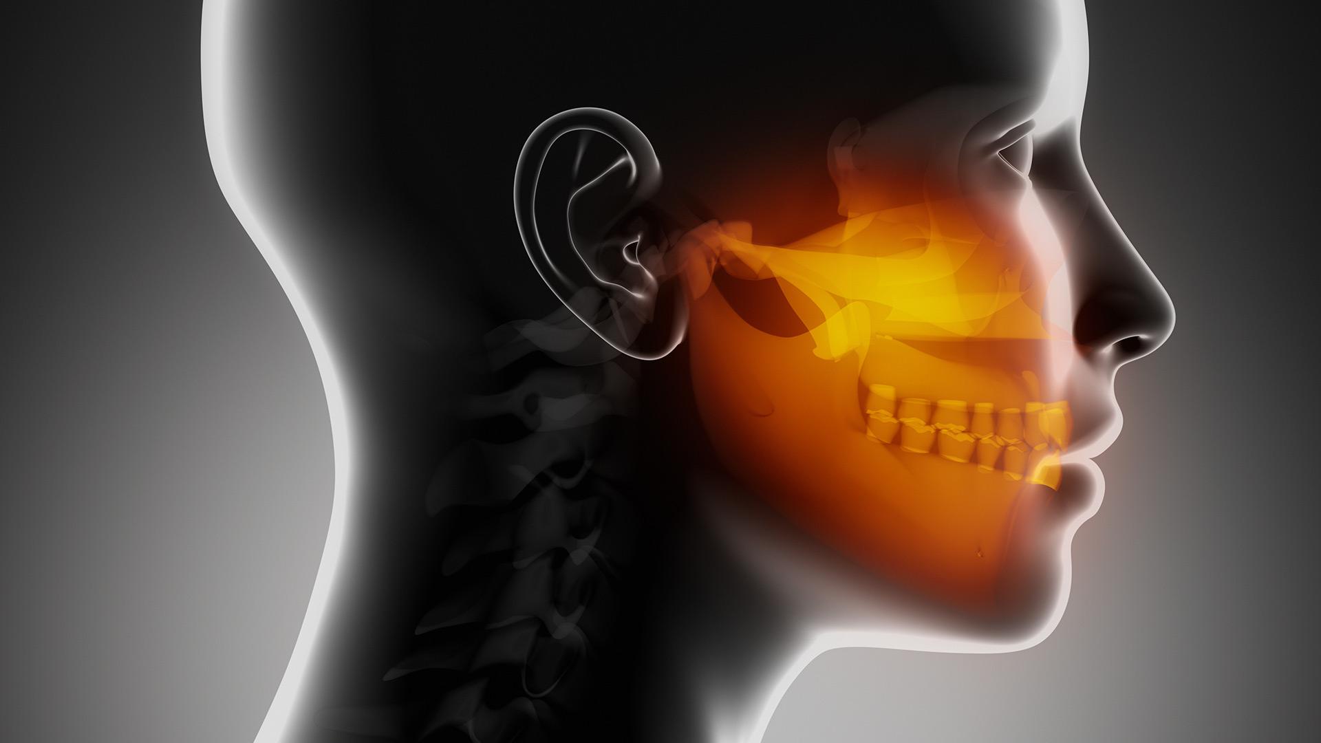 Oldalnézeti anatómiai illusztráció emberi fülről és nyakról, sematikus csontozattal, világos háttérrel, kiemelt színnel a rágóízület (temporomandibularis ízület) területén, amely a gnatológia, vagyis a rágószerv működésével foglalkozó tudomány vizsgálati területe.